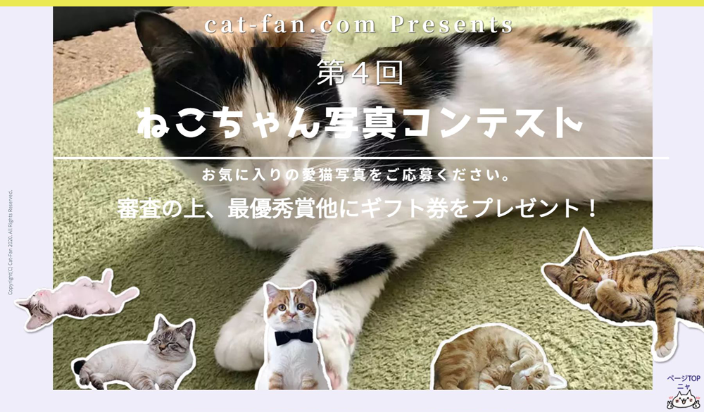 第４回ねこちゃん写真コンテスト　CAT-FAN